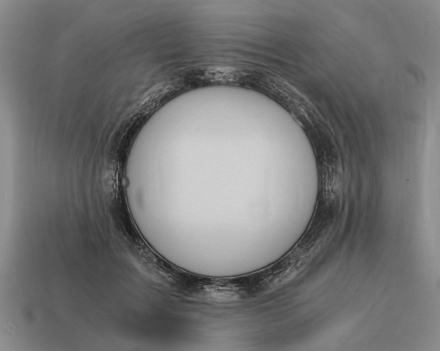 X0000115080603200911101504