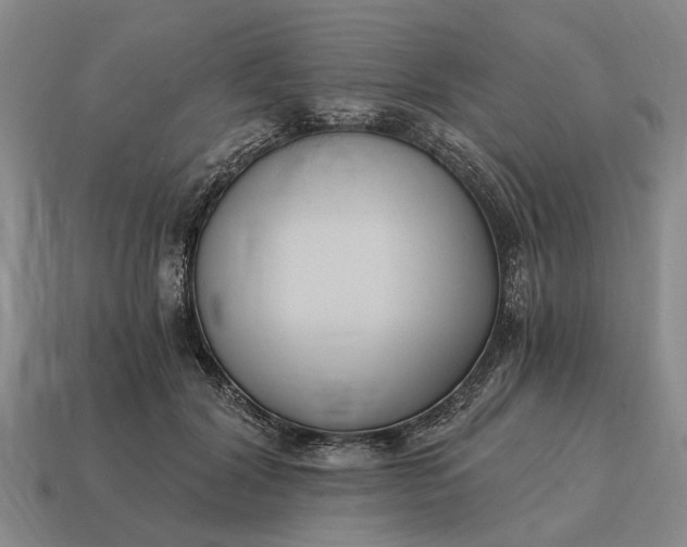 X0000115080604200911101504