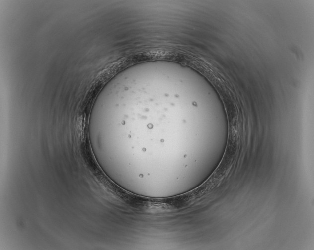 X0000115080605200911101504