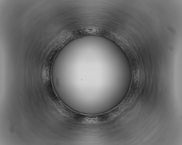 X0000115080606200911101504