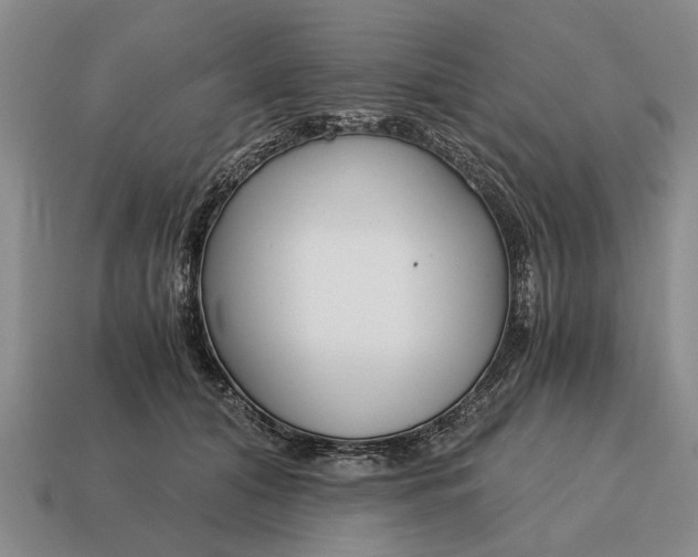 X0000115080608200911101504