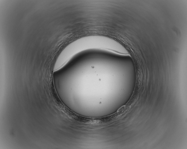 X0000115080609200911101504