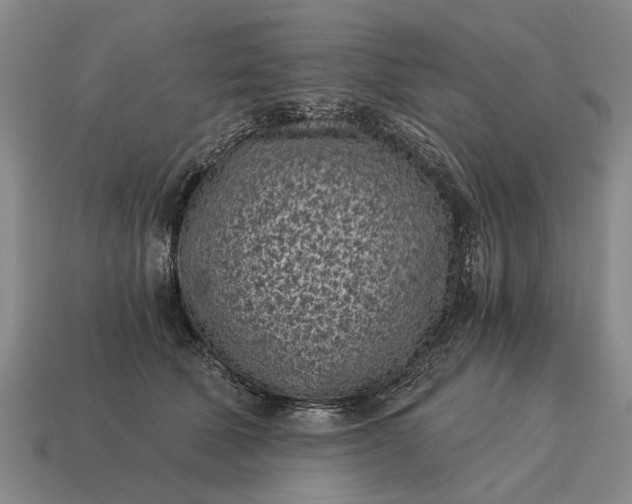 X0000115080610200911101504