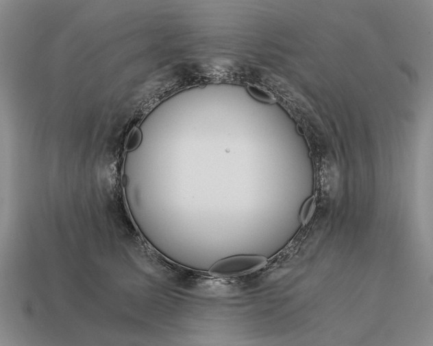 X0000115080611200911101504