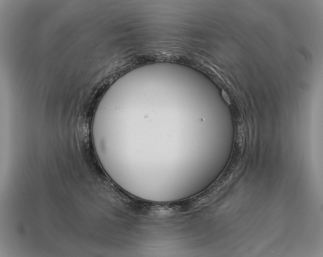 X0000115080613200911101504