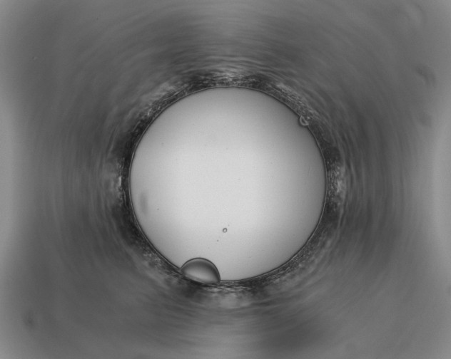 X0000115080615200911101504
