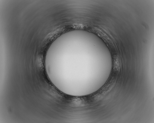 X0000115080616200911101504