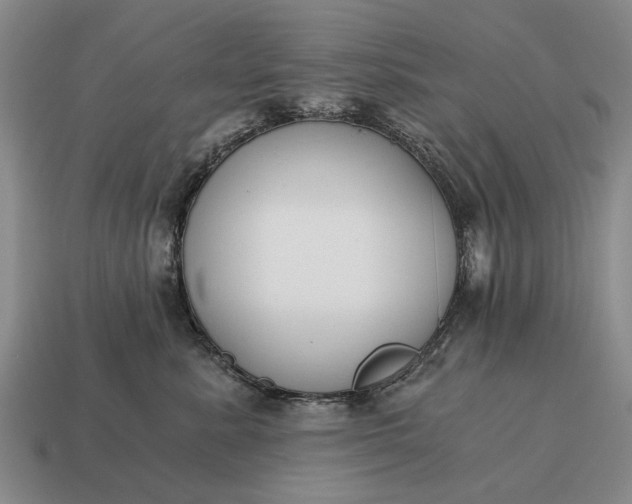 X0000115080619200911101504