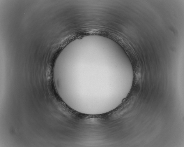 X0000115080620200911101504