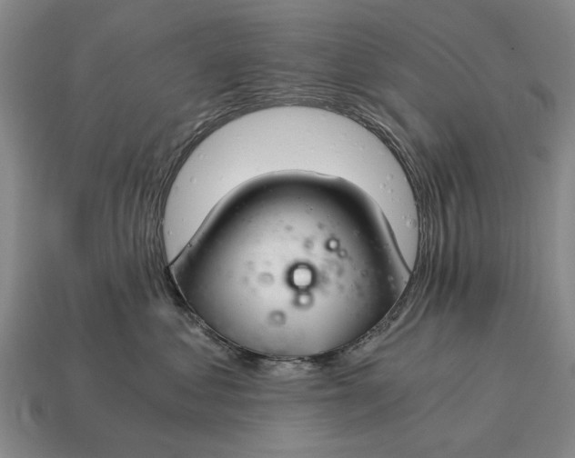 X0000115080621200911101504