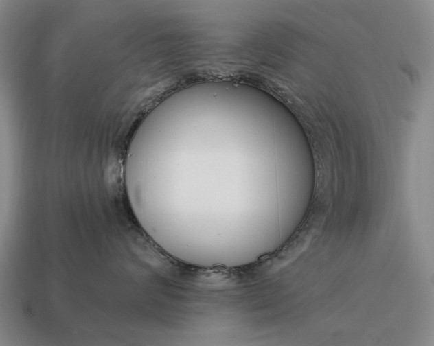 X0000115080624200911101504