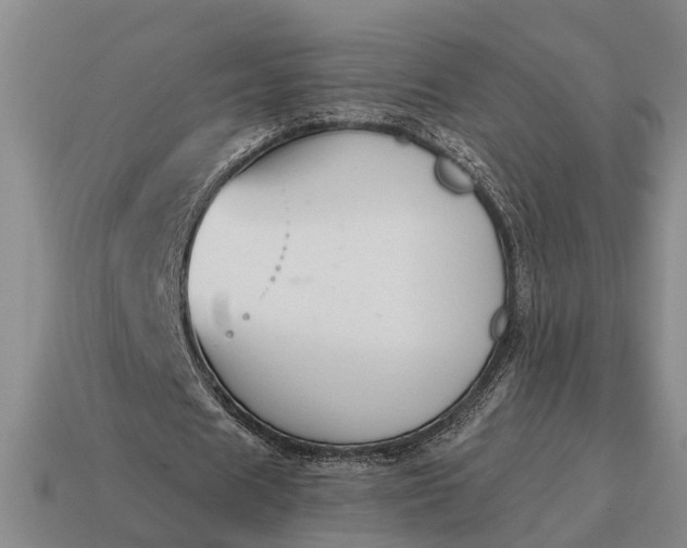X0000115080625200911101503