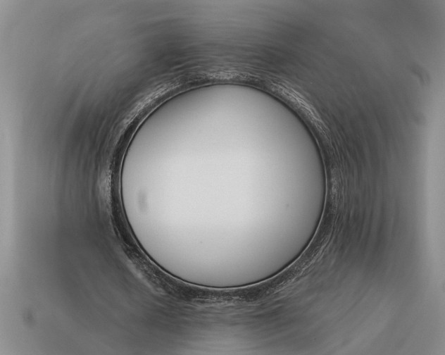 X0000115080626200911101503