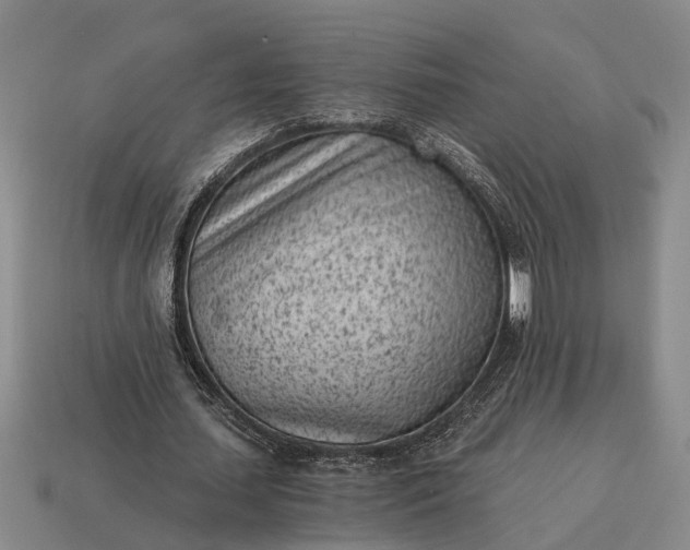 X0000115080627200911101503