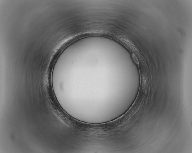 X0000115080628200911101503