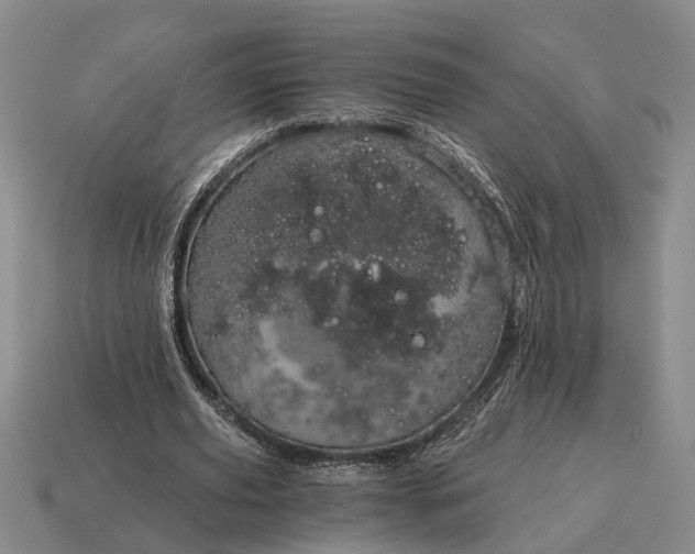 X0000115080629200911101503