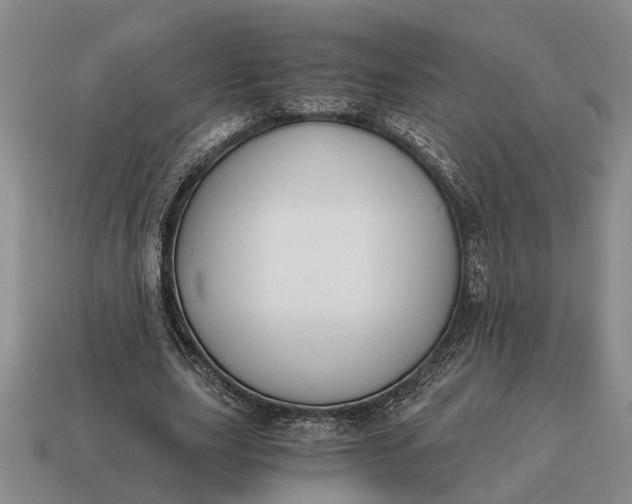 X0000115080631200911101503