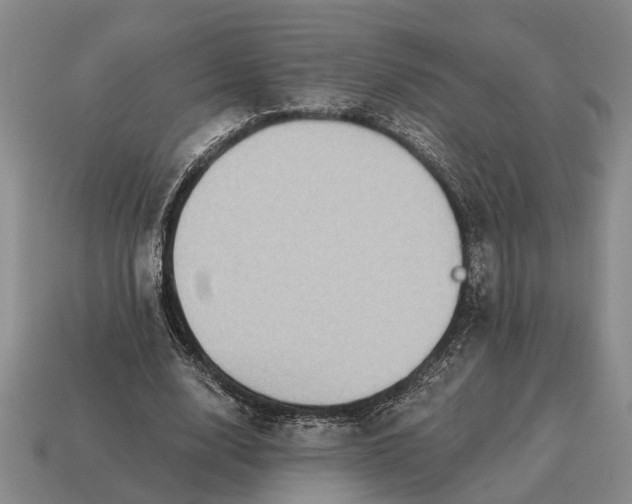 X0000115080632200911101503