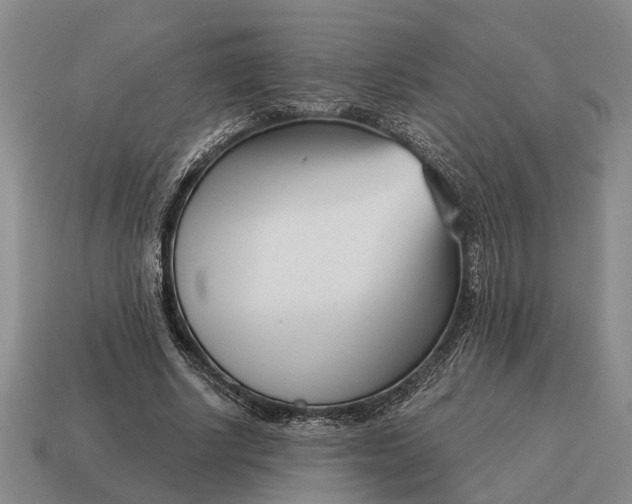 X0000115080634200911101503
