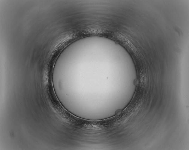 X0000115080635200911101503