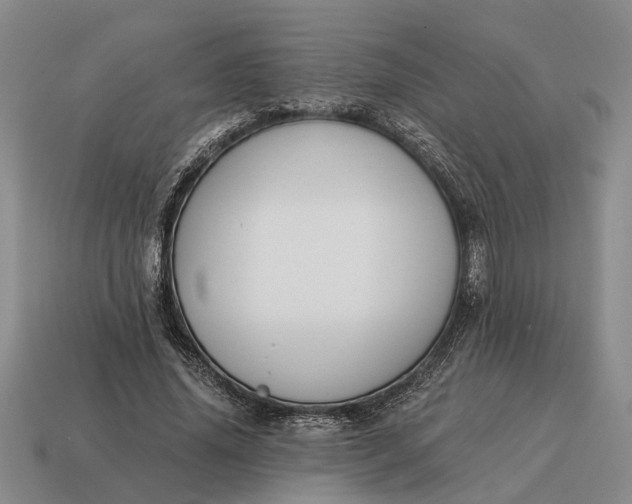 X0000115080636200911101503