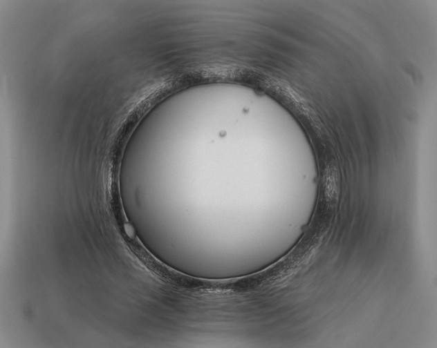 X0000115080637200911101503