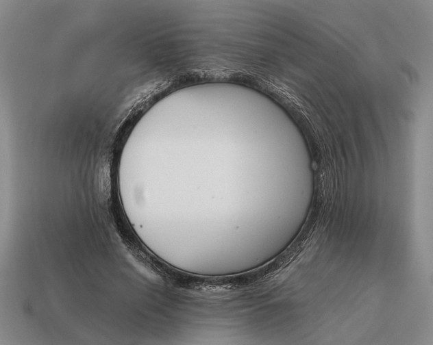 X0000115080638200911101503