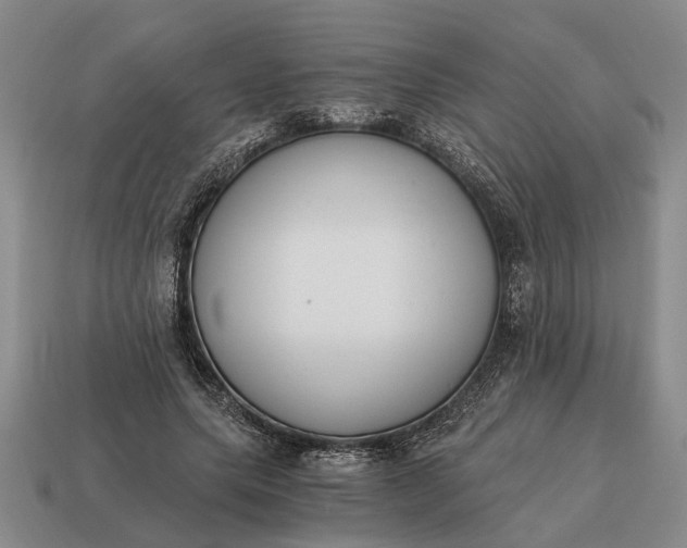 X0000115080639200911101503