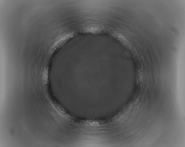 X0000115080640200911101503