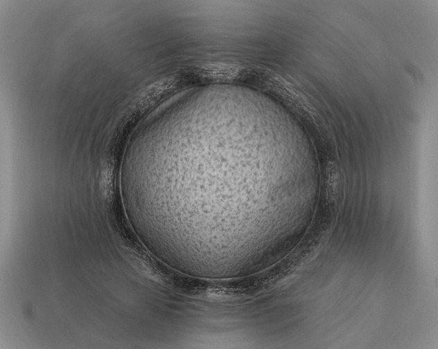 X0000115080641200911101503
