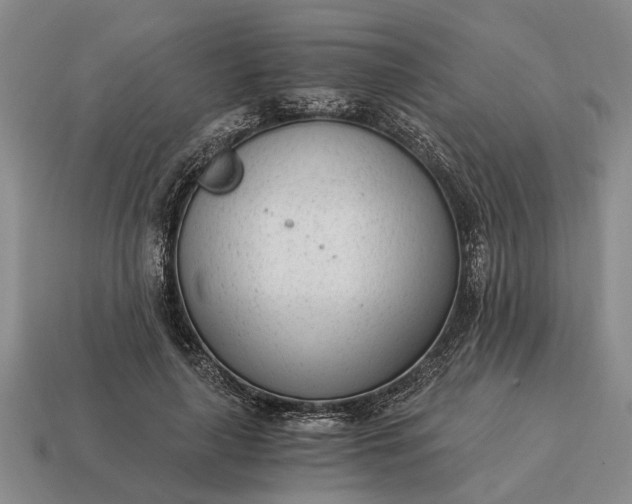 X0000115080643200911101503