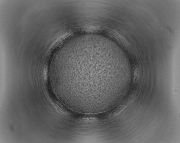 X0000115080644200911101503