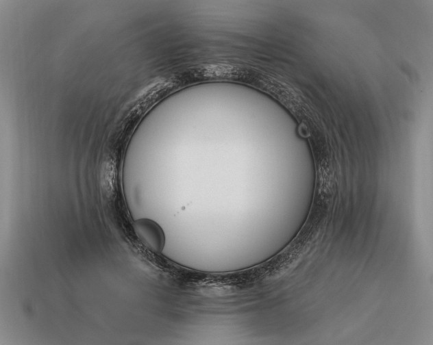 X0000115080648200911101503