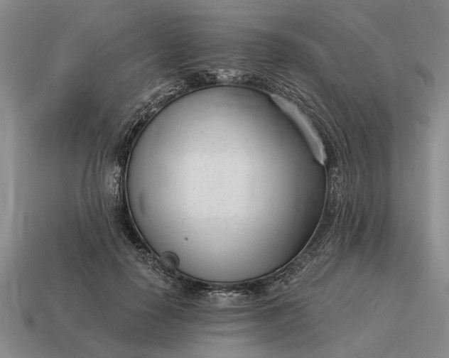 X0000115080650200911101504