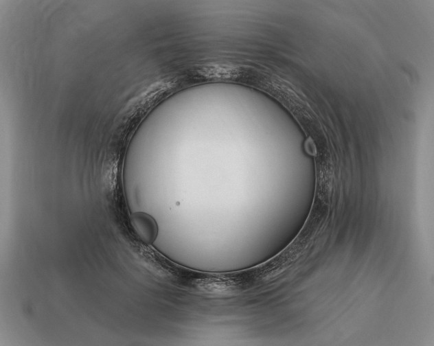 X0000115080652200911101504