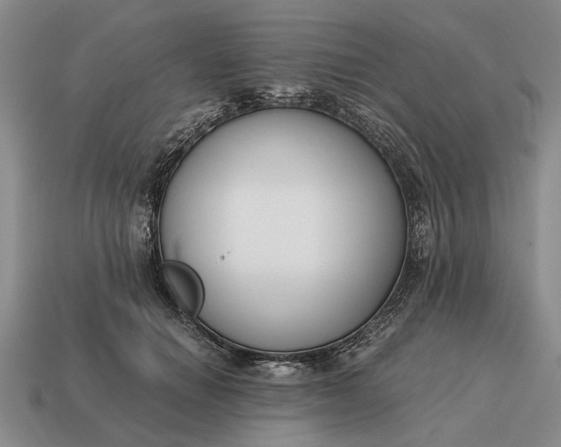 X0000115080654200911101504