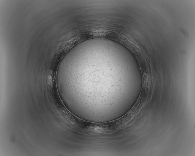 X0000115080655200911101504