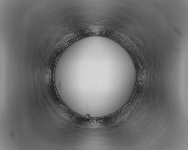 X0000115080656200911101504