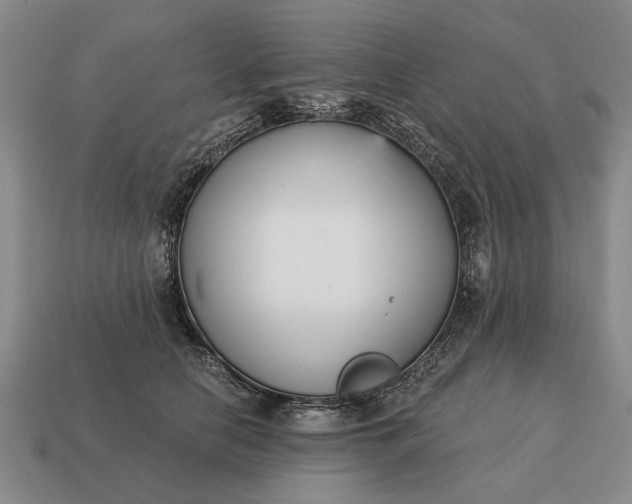 X0000115080658200911101504