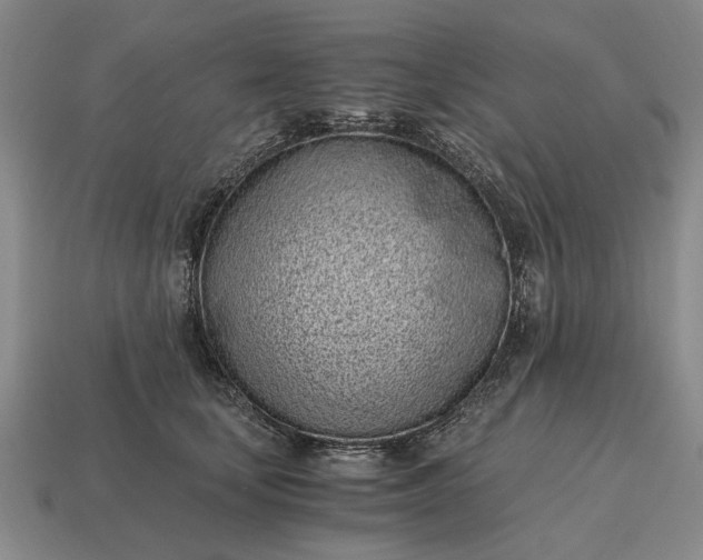X0000115080659200911101504