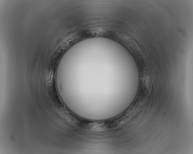 X0000115080660200911101504