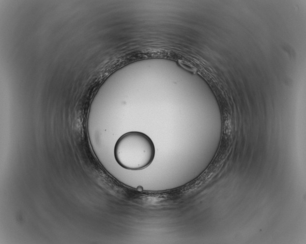 X0000115080662200911101504