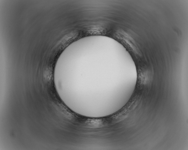 X0000115080665200911101504