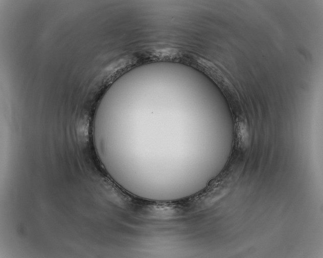 X0000115080668200911101504