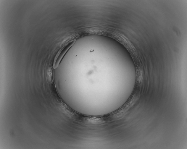 X0000115080669200911101504