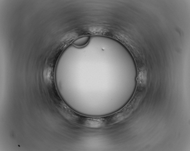 X0000115080671200911101504