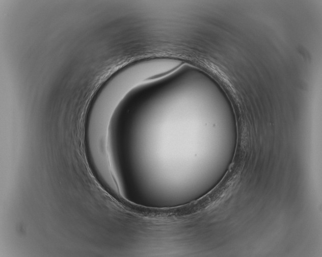 X0000115080673200911101503