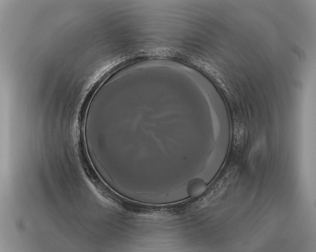 X0000115080674200911101503