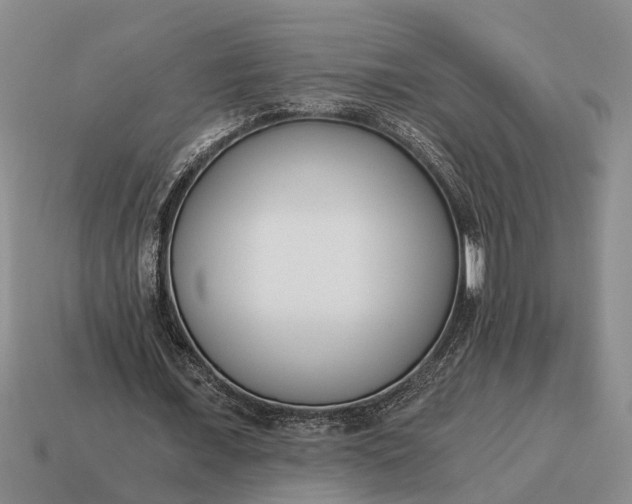 X0000115080675200911101503