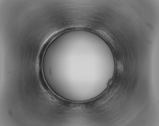 X0000115080676200911101503